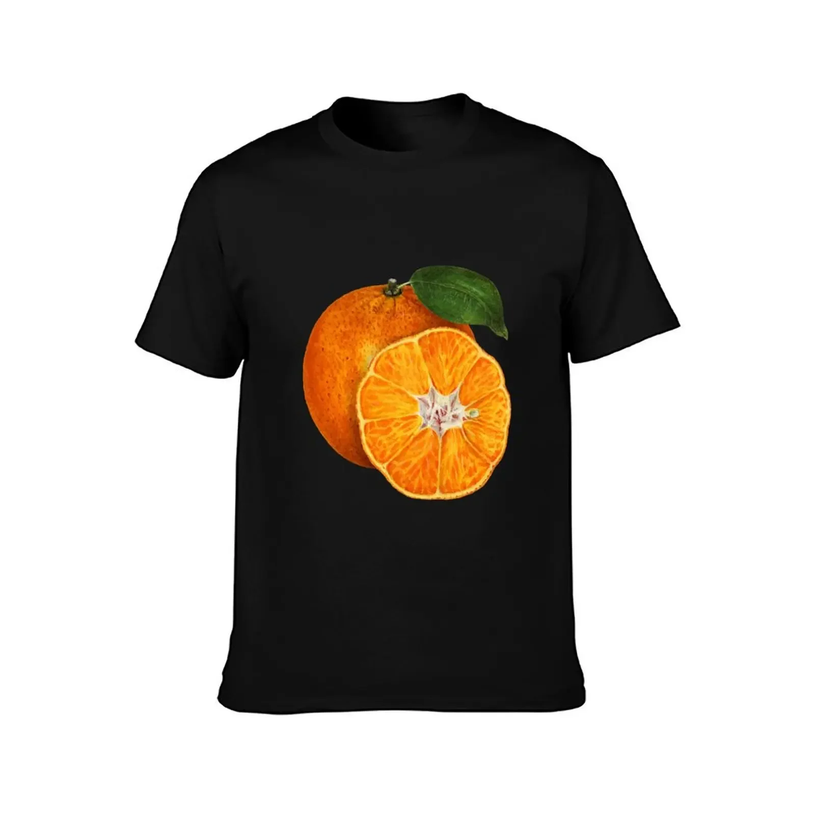 Sliced Orange T-Shirt fashion shirts designer shirts compression shirt men