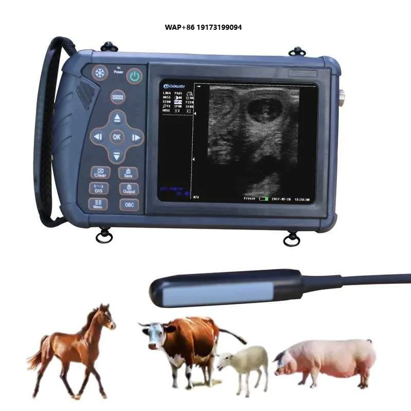 Portable animal ultrasound machine with 5.6-inch display and multiple imaging modes, veterinary ultrasound scanner