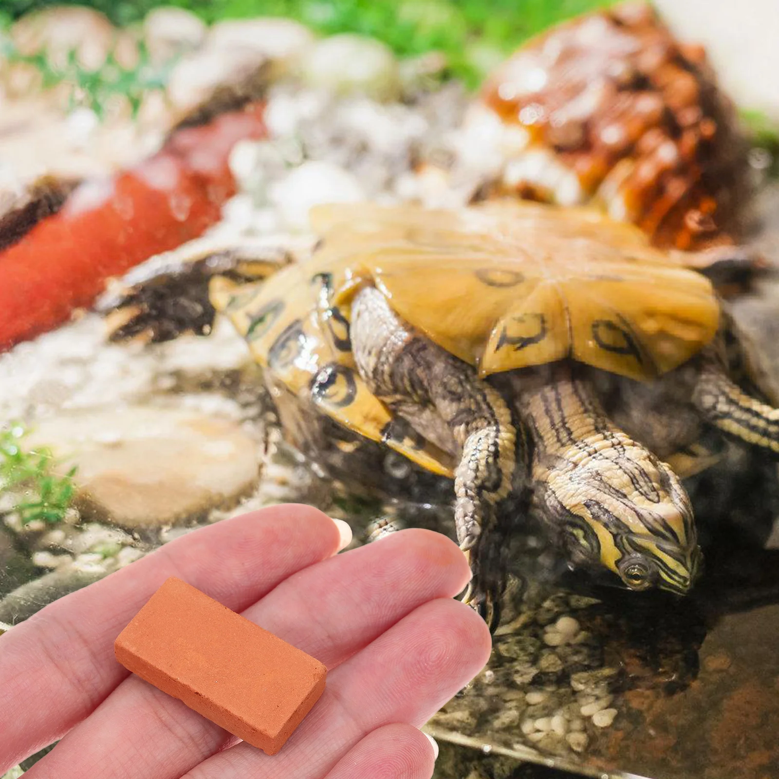 

40Pcs Miniature Bricks Realistic Tiny Bricks for Landscaping Terrarium Turtle Tank DIY Micro Landscape Building Materials