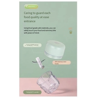 250ML Mini USB Electric Meat Grinder Garlic Chopper Rechargeable Crusher Food Processor Green Durable Easy Install Easy To Use