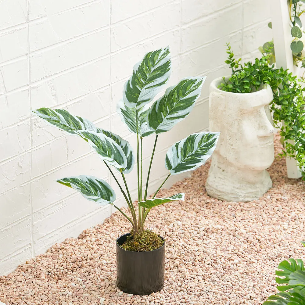 Artificial Outdoor Garden Green Plants with Plastic Pot, Calathea White Fusion