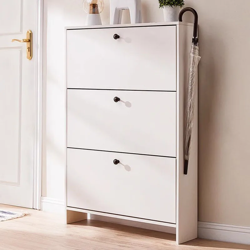 Restoran Menghemat Ruang Lemari Sepatu Penyimpanan Organizer Rak Sepatu Universal Asrama Perguruan Tinggi Penting Archivadores Perabotan Rumah