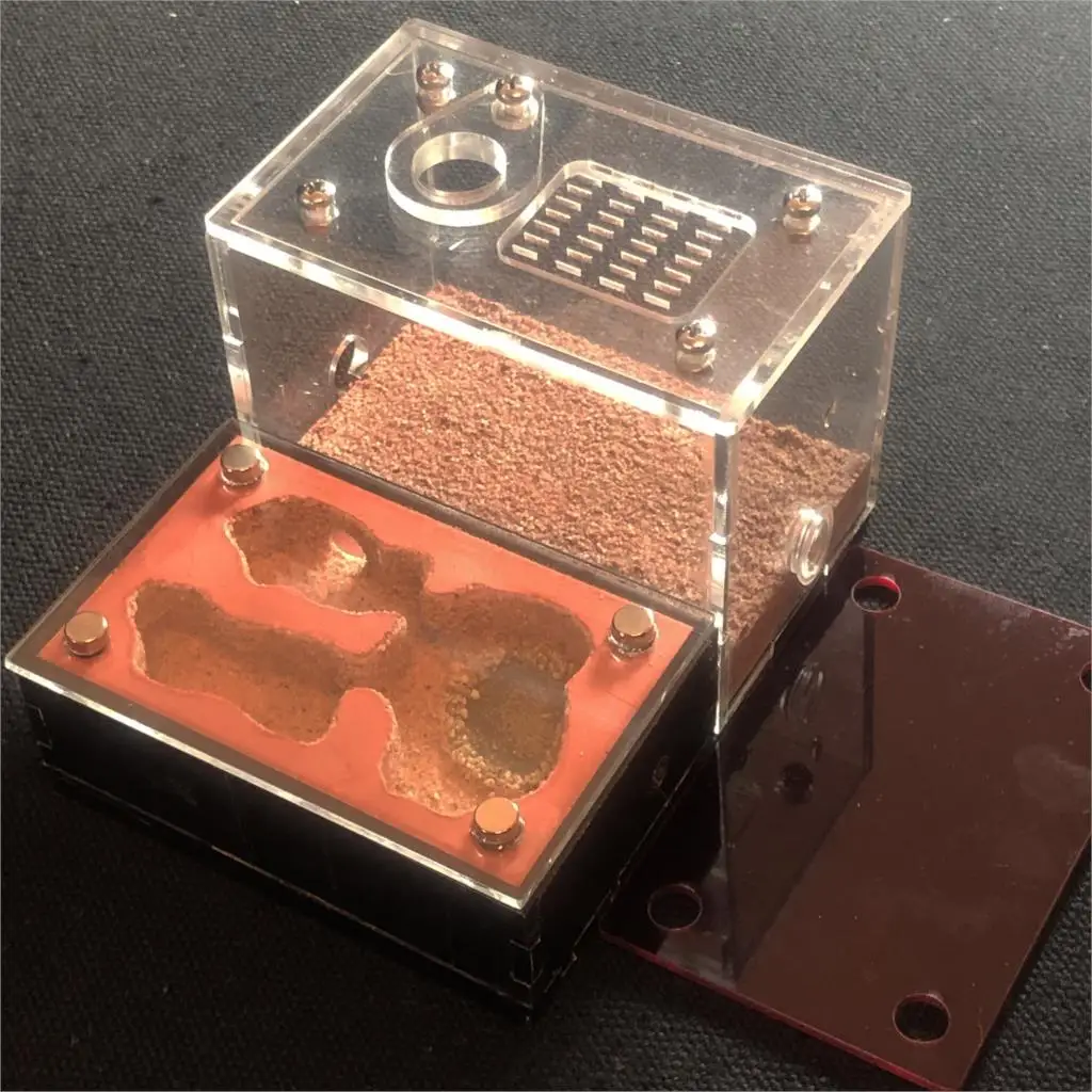 

Песочный муравьиный городок из гипса и бетона: укрытие для муравьев, увлажняющий, светозащитный, натуральный, экологичный муравьиный фермерский комплекс