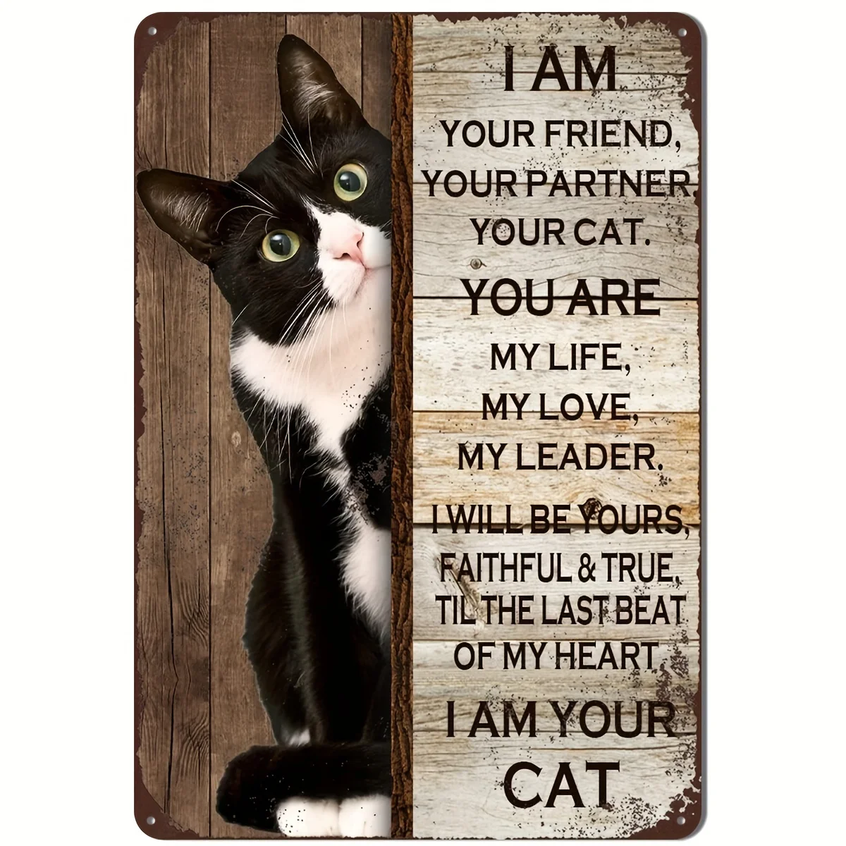 1Pc Black Cat Sign … - image
