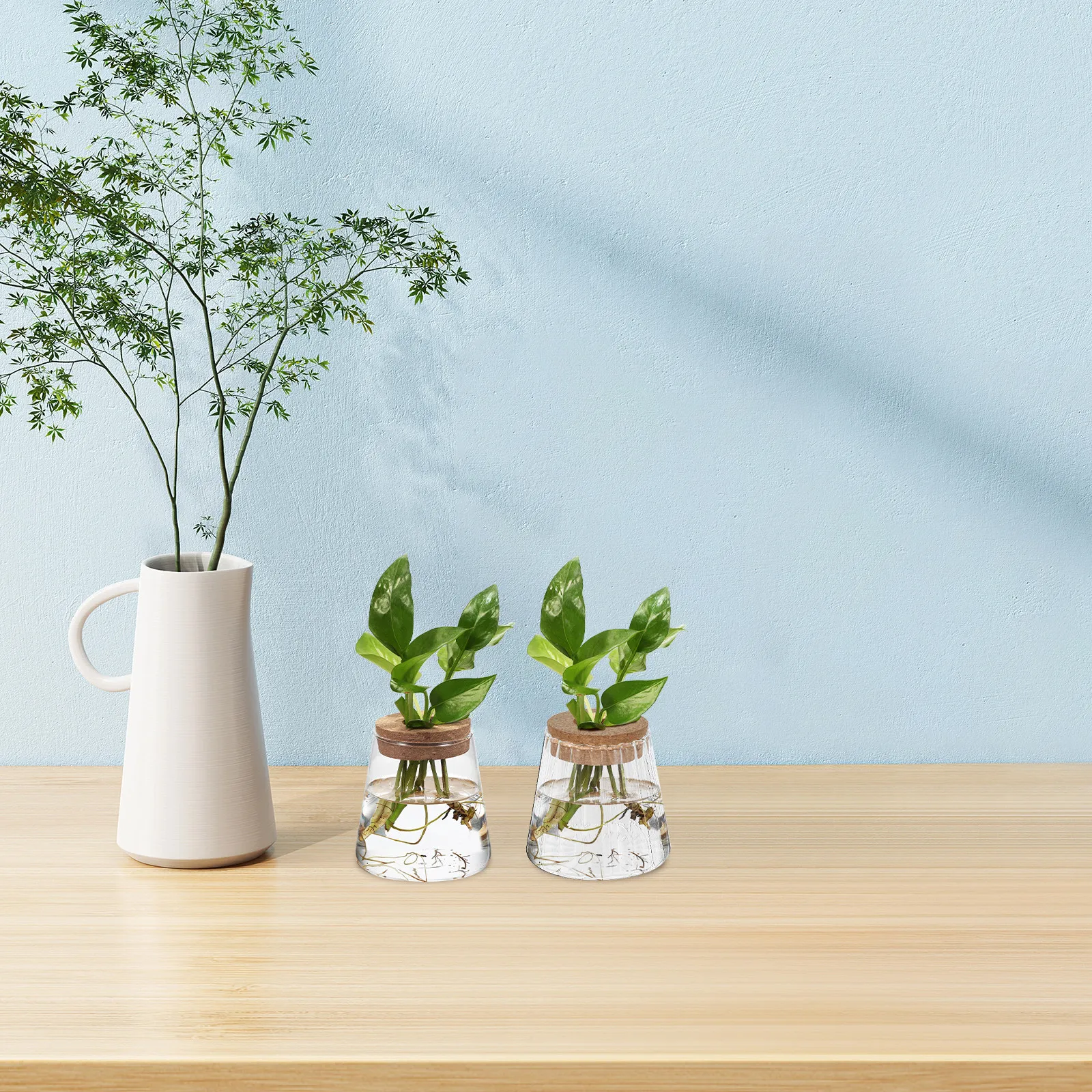

3 Glass Terrarium Hydroponic Plant Bottle Desktop Vases for Avocado Propagation Office Decor Plant Stand Accessories