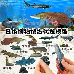 Original Japan Colorata Ancient Fish Museum Marine Organism Models Action Figure Ornaments Collection Model Gift