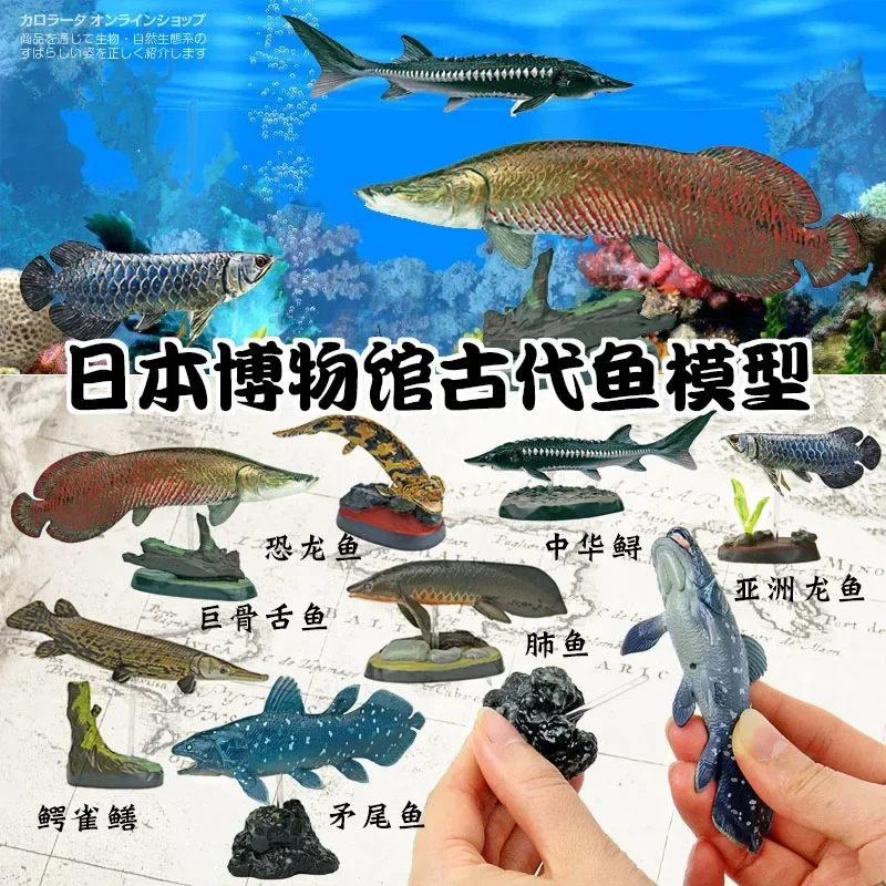 Original Japan Colorata Ancient Fish Museum Marine Organism Models Action Figure Ornaments Collection Model Gift