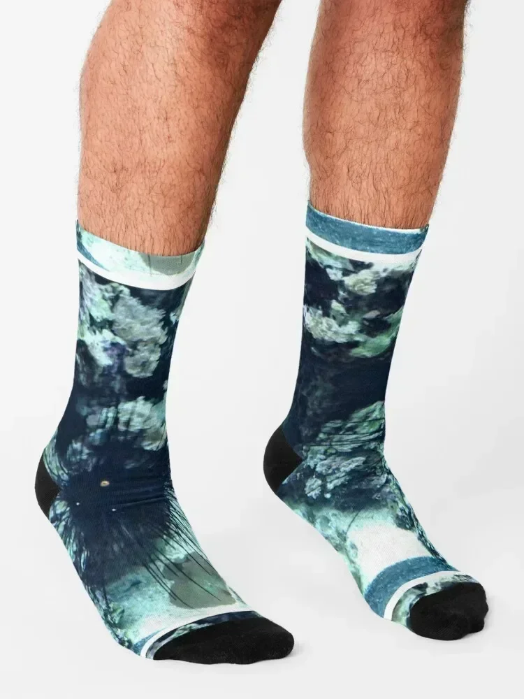 جوارب قنفذ البحر جورب تسخين كرتوني للجري جوارب كاواي للفتيات والرجال