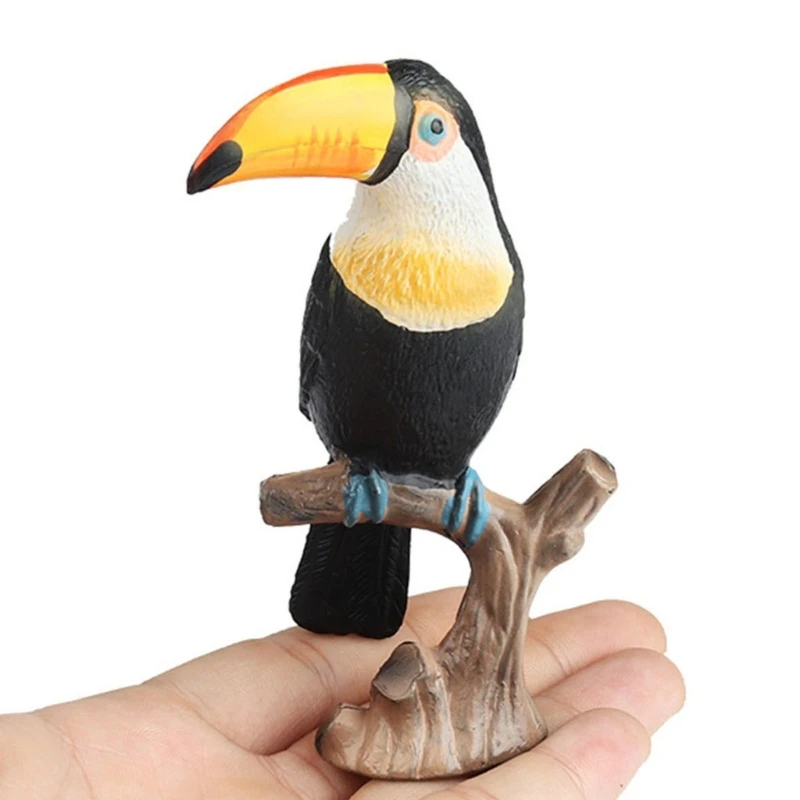 Figurine d'oiseau Toucan réaliste, modèle Animal, collection loisirs, décors bureau D5QA