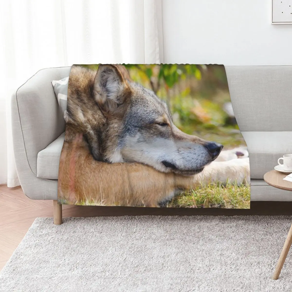 Beautiful coyote wallpaper Throw Blanket Cute Decorative Sofas Furrys For Decorative Sofa Flannel Cute Plaid Blankets