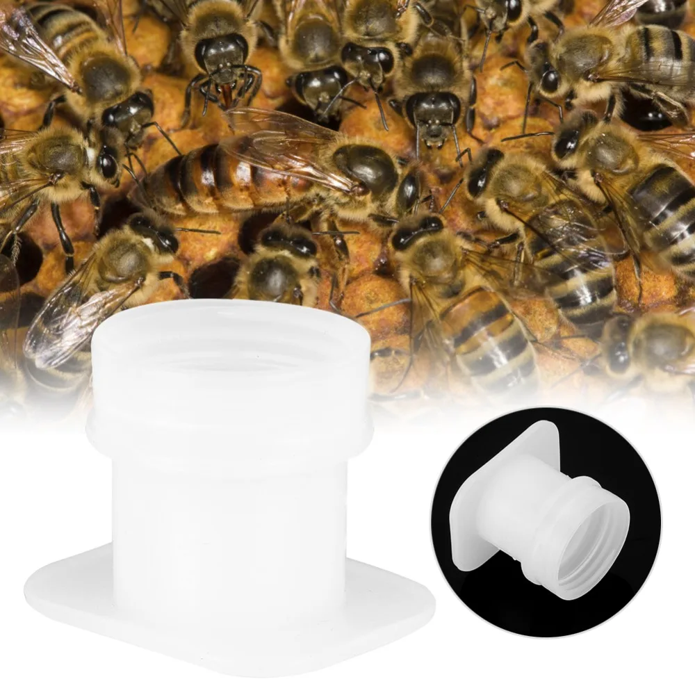 10pcs Convenient Plastic Bee Water Feeder Small Hole No Leakage Bee Drinking Fountain White Beekeeping Equipment Garden