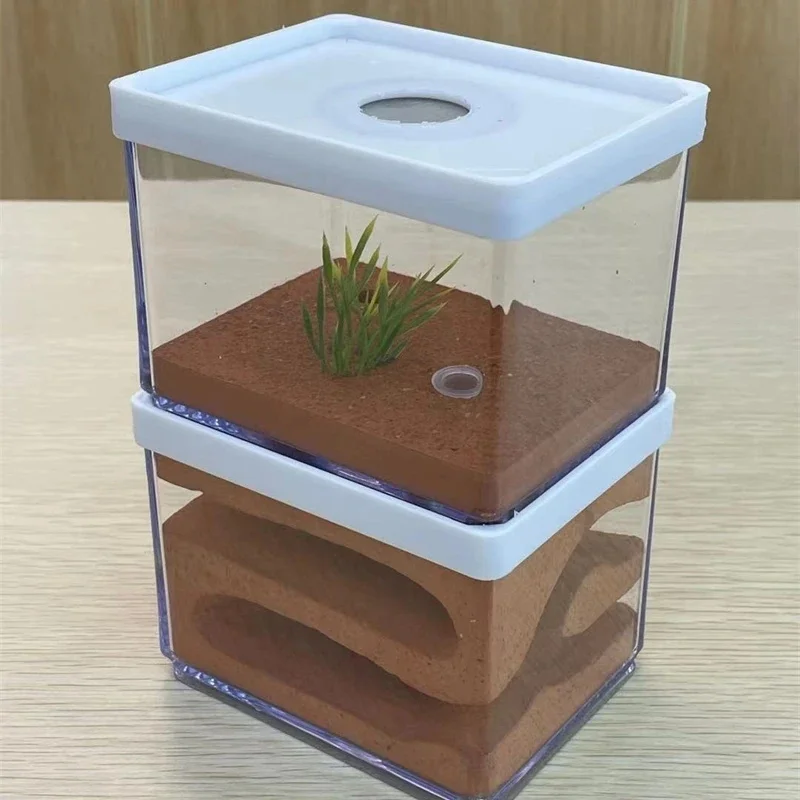 Double Layer Ant Ha…