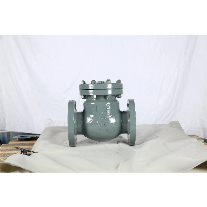 

2-дюймовые 30-дюймовые поворотные обратные клапаны, настраиваемый обратный клапан из литой стали с фланцем и стыковым соединением для ручного водяного носителя