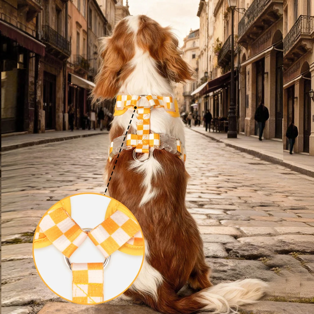 Adjustable Padded Dog Harness And Leash Set For Small Medium Pets_voghion.com