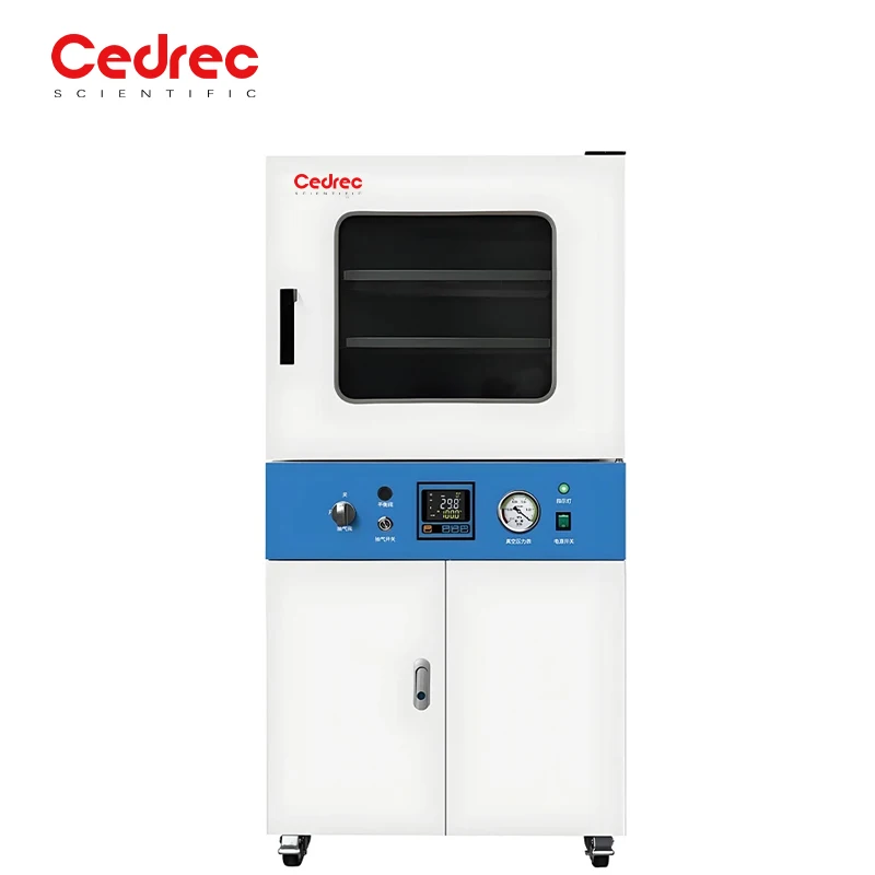 Manufacturer Vertical Vacuum Drying Oven 250°C 210L High Temperature Force Air Incubator Laboratory