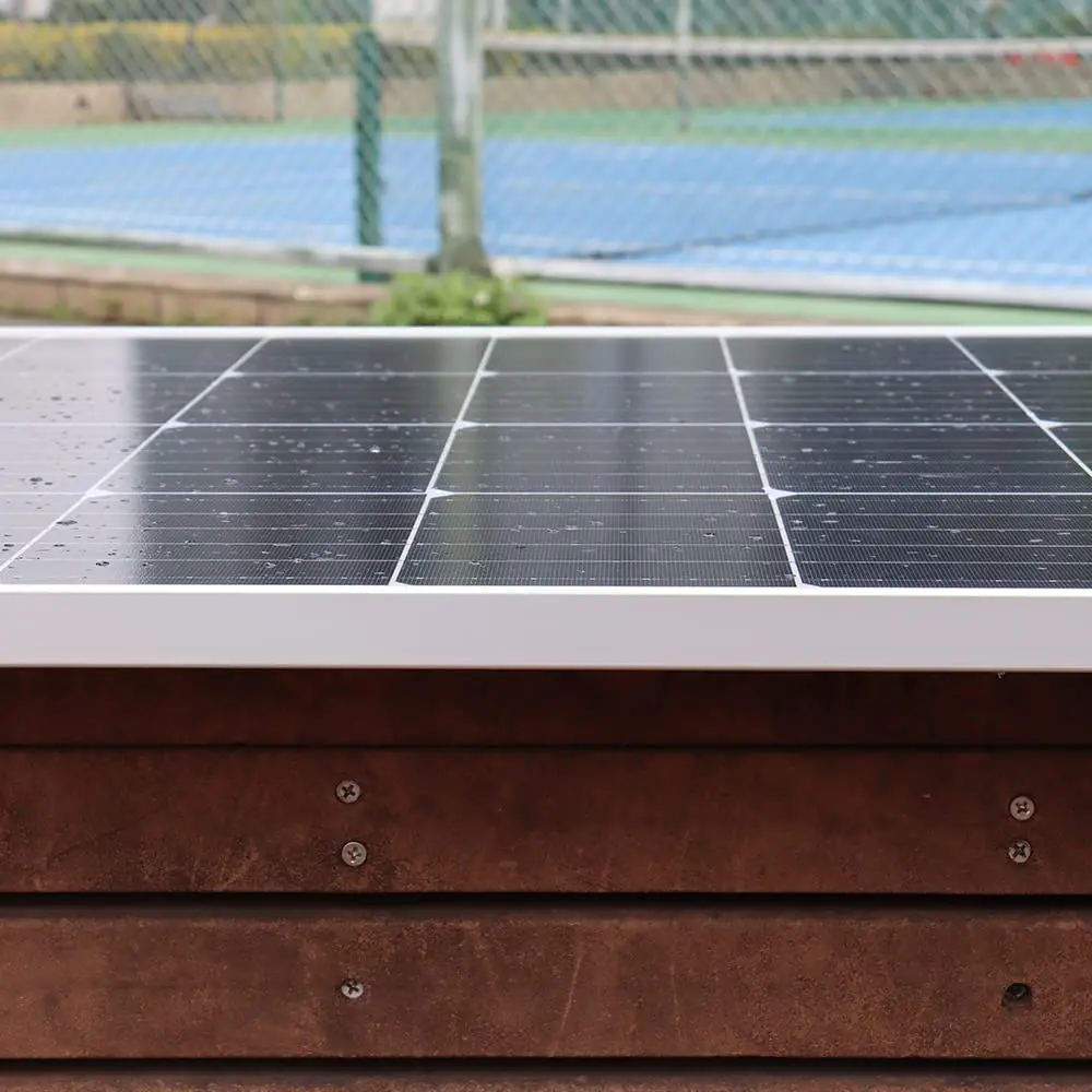 800W Glass Solar Panel Photovoltaic Panel Solar System Balcony Home for Socket 220v 230v Micro Inverter On Grid Solar PV System