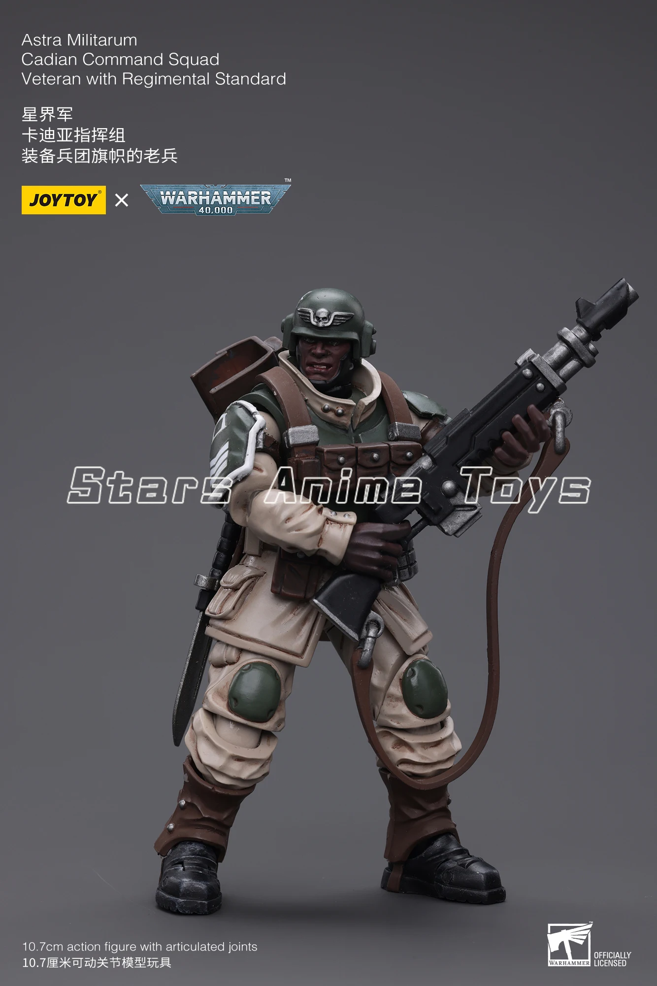 Original JOYTOY 1/18 Action Figure WARHAMMER 40000 Astra Militarum Cadian Command Squad Veteran with Registal Standard Model Toy