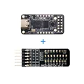 FPGA and PMOD-SWITCH
