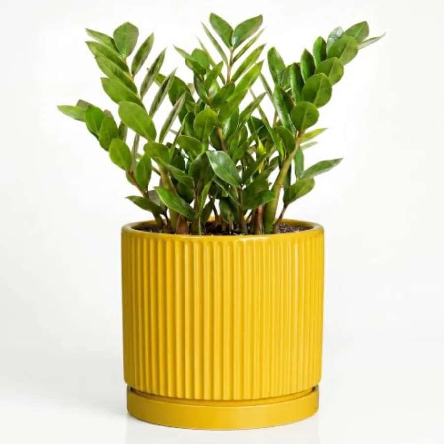 Ceramic Pots for Plants, 10 Inch Plant Pots with Tray, Yellow, Frost-Resistant and Drainage-Hole Design