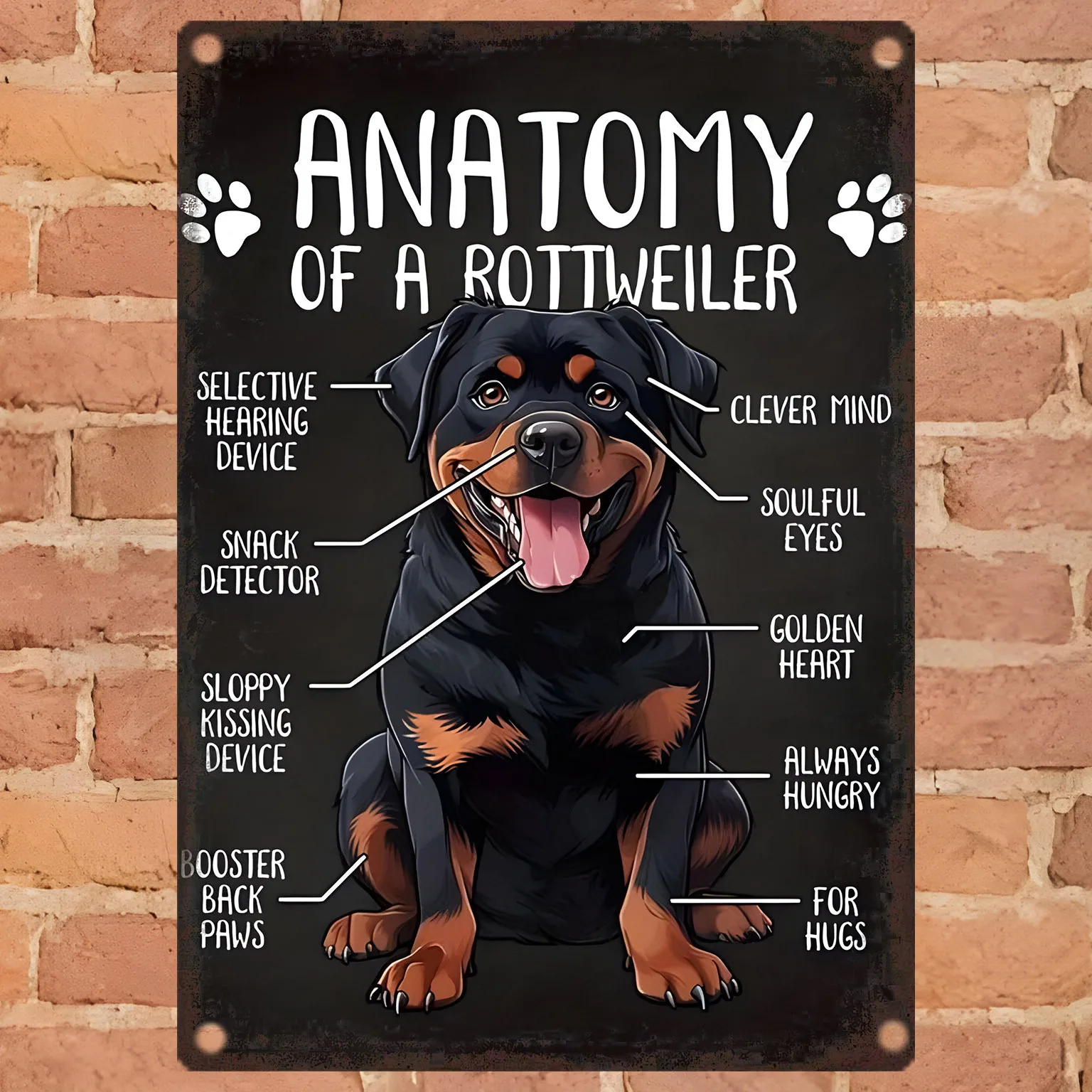 Vintage Rottweiler Anatomy Metal Wall Hanging - Iron Tin Sign, Detailed Dog Poster for Home Decor, Perfect Halloween, Than
