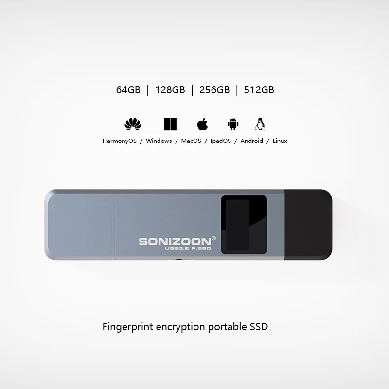 Fingerprint Encryption Portable Solid State USSD128gb Write Protection Function TPYEC3.2 Pen Drive USB30 Usb Flash Drive for Mac