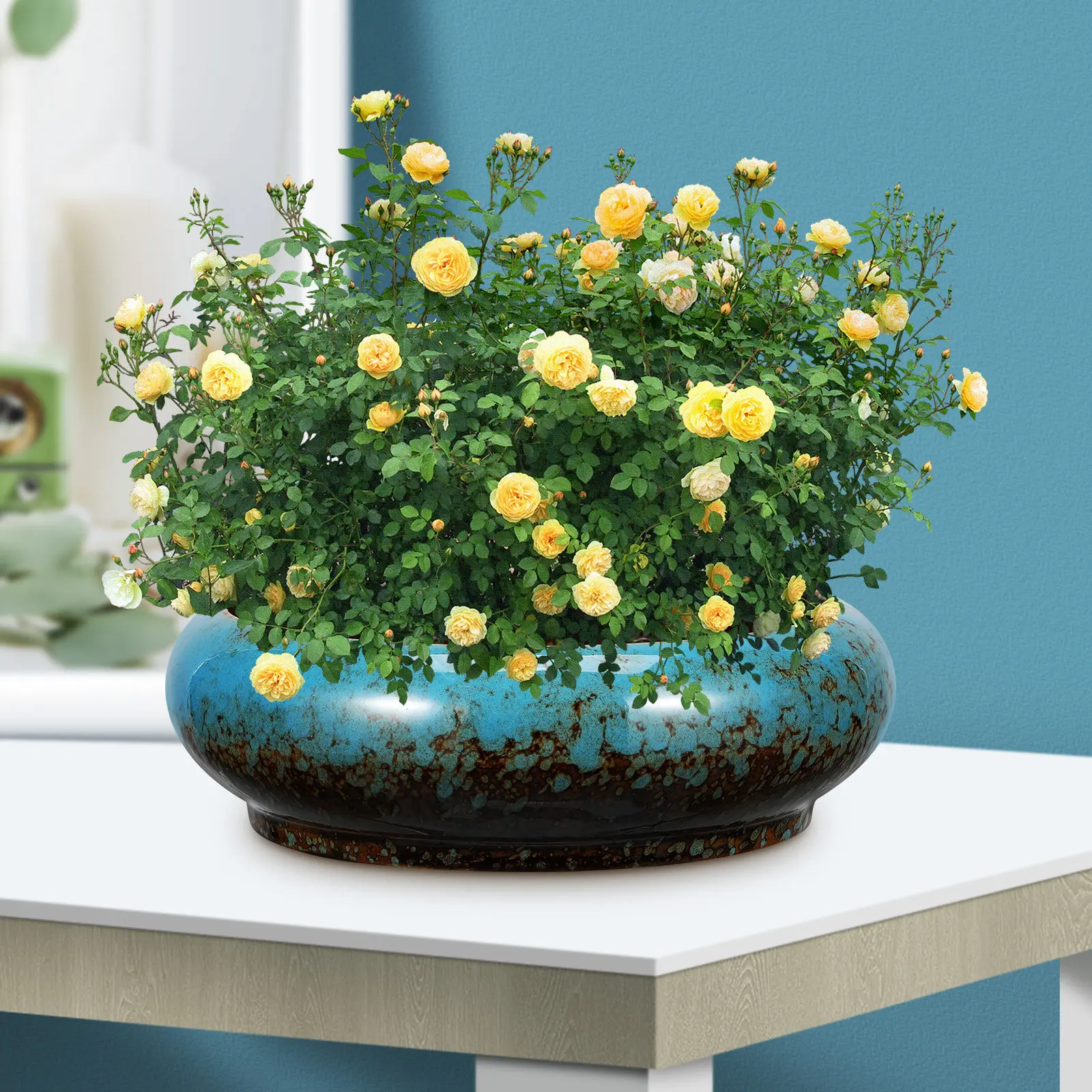 Sleep Lotus Ceramic Succulent Planter Round Shallow Plant Pot Drainage Flower Container Indoor Bonsai Shallow Plant Pot