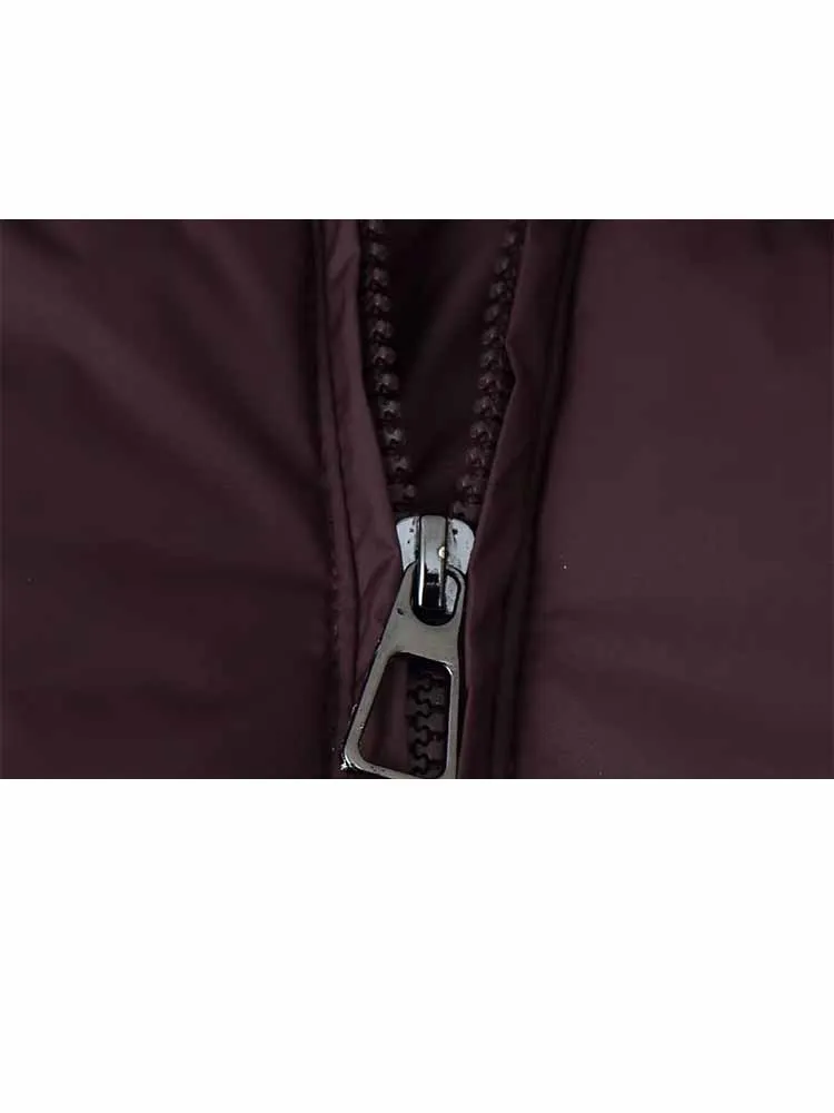 

HH Woman Winter Keep Warm Loose Zipper Solid Color Hooded Cotton Clothes Female Casual Comfortable Street Style Cotton Jacket