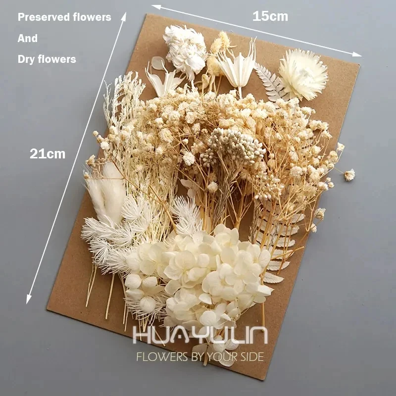 Preserved Natural Dried Flowers Set Bag for Handmade Crafts DIY Candles Epoxy Resin Home Office Wedding Decoration