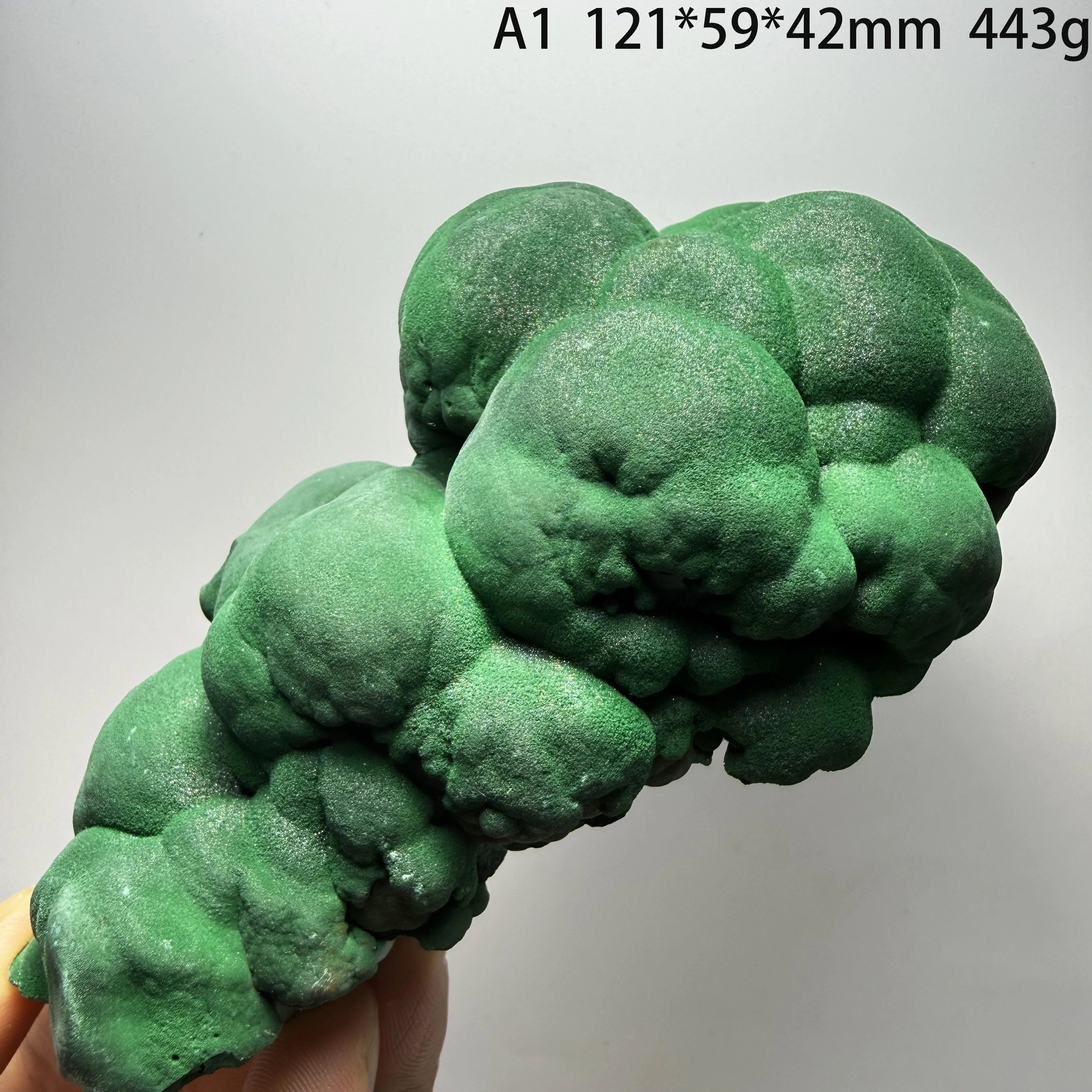 Natural Botryoidal Malachite Specimen, Raw Green Malachite Mineral Stone from Democratic Republic of the CongoA4-2-19