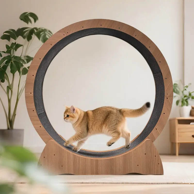 

Cat treadmill, roller silent non-solid wood, large cat toy