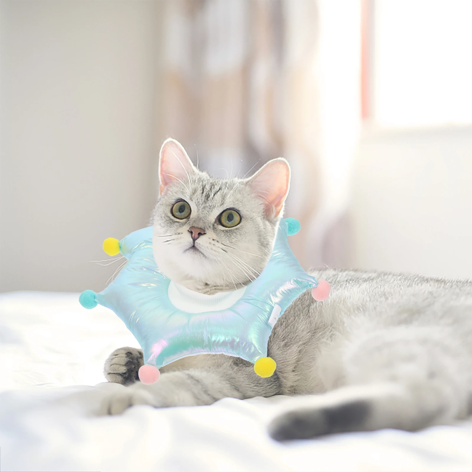 

1pc Adjustable Pet Collar Funny Creative Shape Bright Durable Soft Lightweight Recovery Neck Dog Cat Puppy Kitten Post for Small