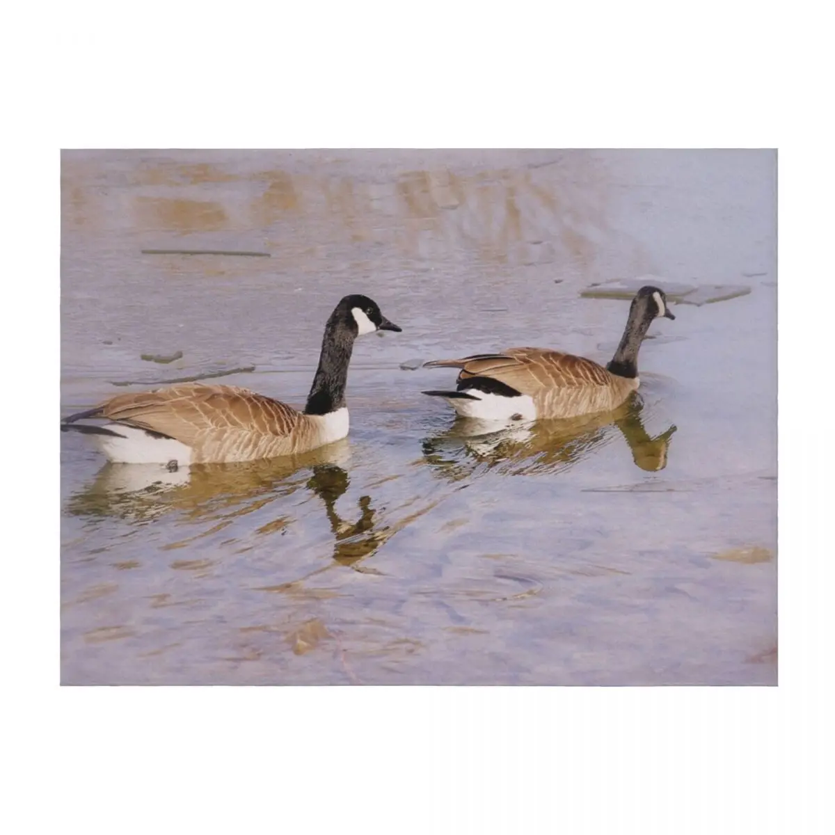 

Canada Geese in Winter Throw Blanket Soft Beds Moving For Sofa Thin decorative Blankets