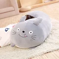 totoro
