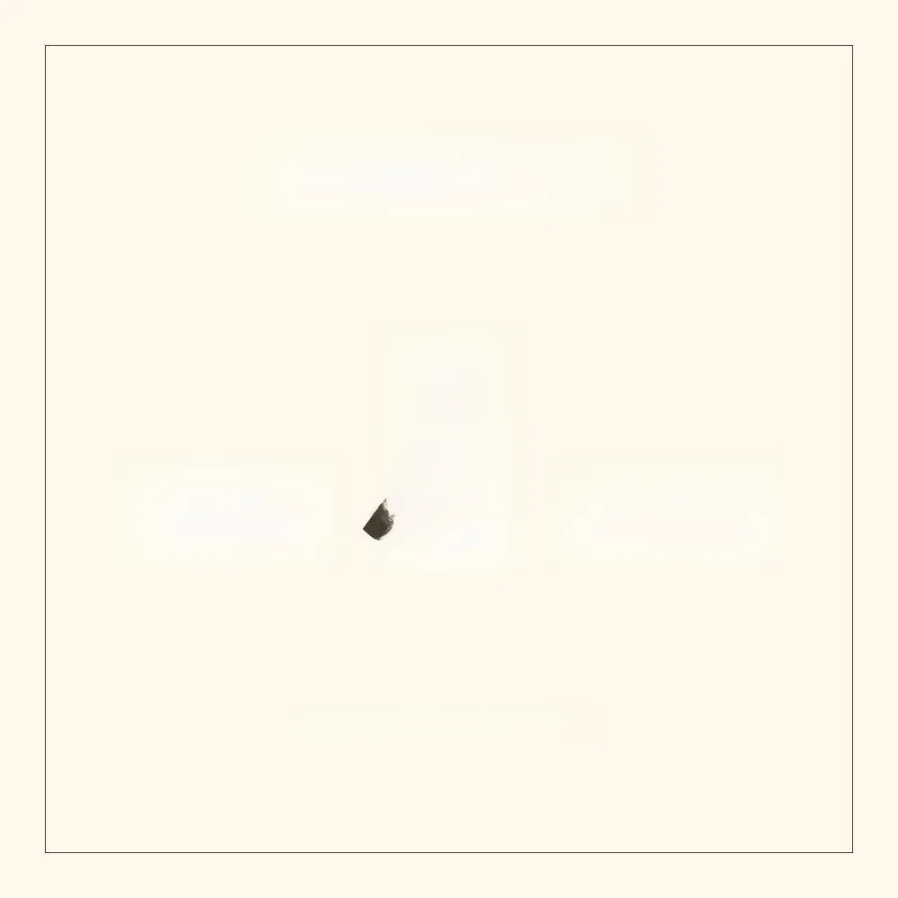 

Новая коллекция: Вязаный комплект из свитера и топа с круглым вырезом для молодых женщин 25-29 лет, весенний сезон