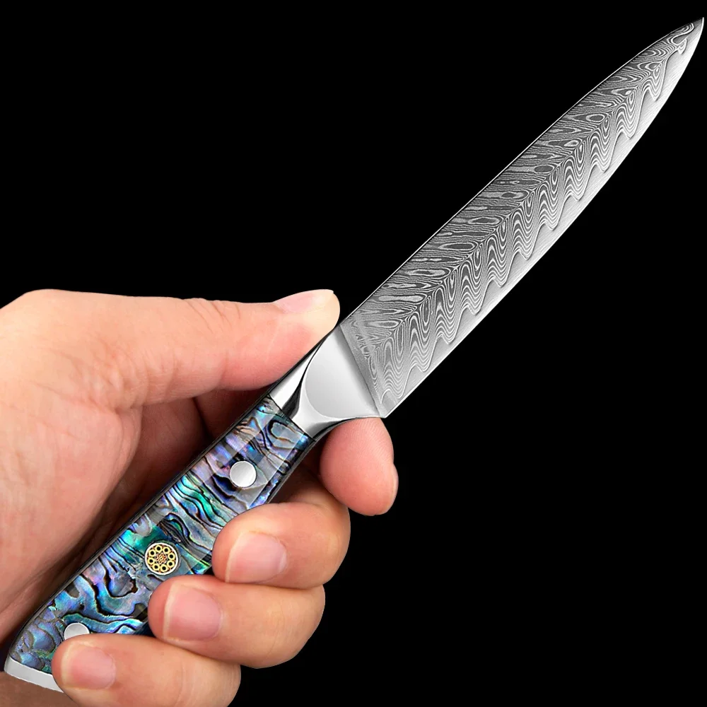 Damascus VG10 Steel Utility Knife 5 Inch Paring Knives Sharp Fruit Knife for Cutting Fruit and Vegetables Kitchen Peeling Knife