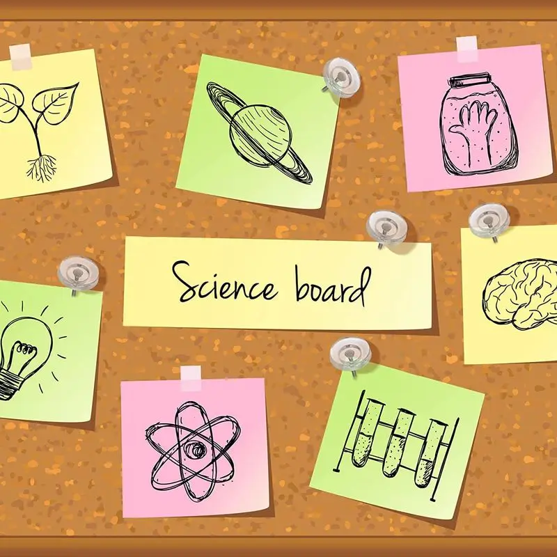 Chinchetas de empuje transparentes, tachuelas de pulgar, mapa de corcho, tablero de dibujo, foto, tachuelas de pared, suministros escolares de oficina, 50 unids/lote por caja