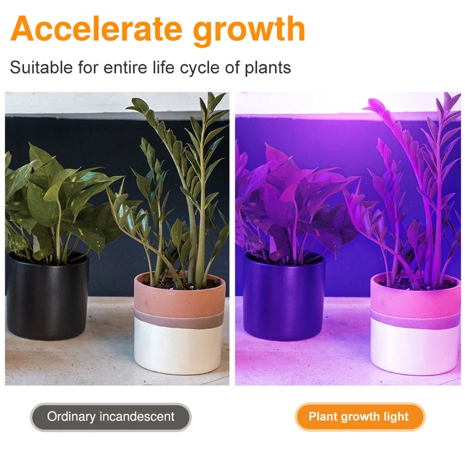 LED Planta Crescer Copo de Luz Indoor Preenchimento Hidropônico Lâmpada de Espectro Completo Roxo Lâmpada de Crescimento de Plantas E27 220V
