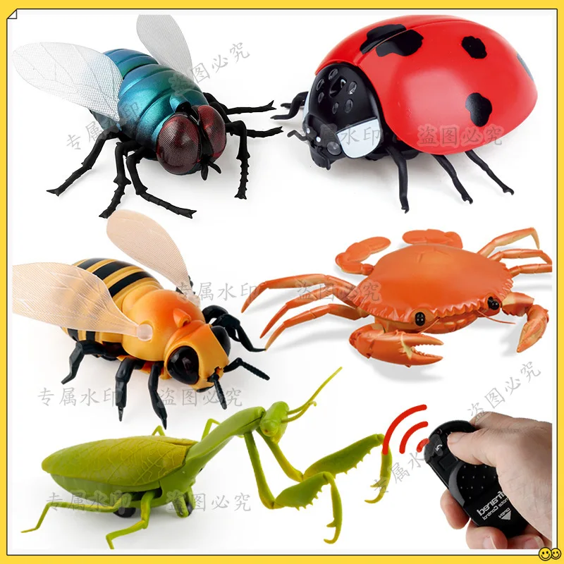 Remote control insects, remote control flies, bees, ladybugs, infrared remote control electronic pet tricks