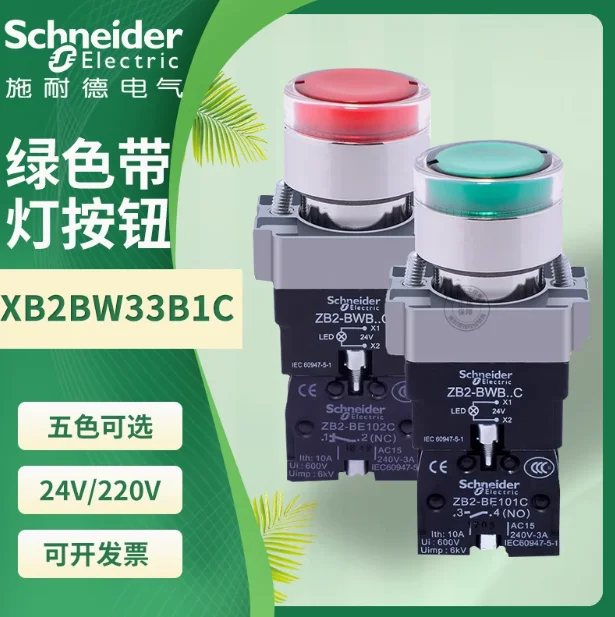 Original XB2BW Self-Resetting Button Switch with Light 24V 220V
