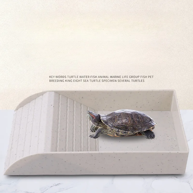 

Turtle Anti Slip Plastic Sun Climbing Platform Pattern Water Feeding Basin