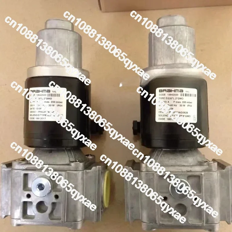 BRAHMA Valve Group Burner Solenoid Valve EG12LGFDEG15LGMQ Panama Natural Gas Control Valve