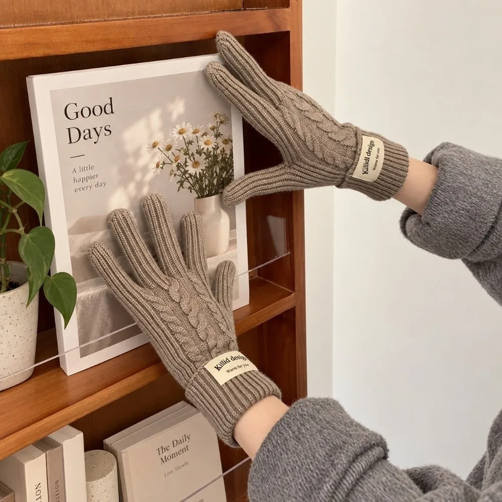 Polyester Cable Knitted Gloves Long Cuff Design One Size Full Finger Gloves Warm Lining Solid Color Cold Proof Gloves For Women