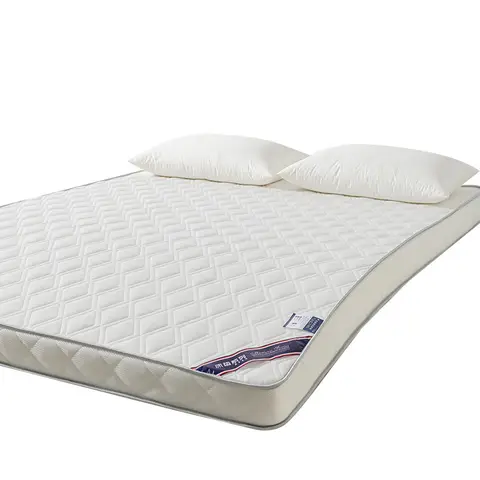 Matelas de sol en Latex amélioré, coussin de lit Tatami Extra épais pour dortoir et maison, vente en gros pour étudiants