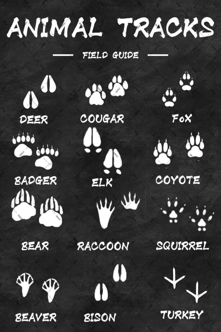 EMOHAT Animal Tracks Field Metal Tin Sign Guide Wall Decor Posters Retro Home Decorations Wall Art for Home Living Room Classroo