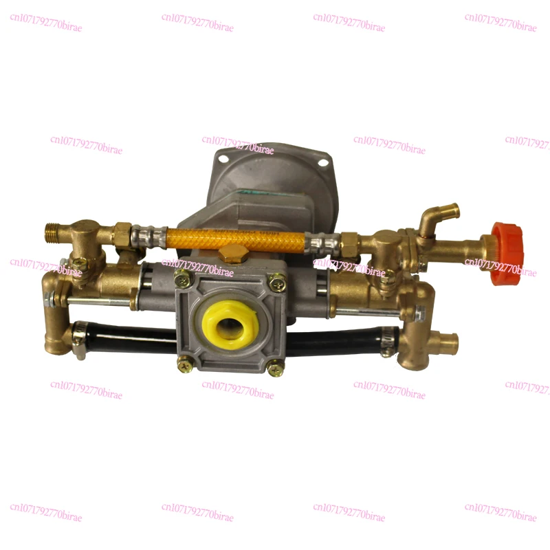 139F  Engine Pump Head GX35 Dispenser Water  Engine Accessories High Pressure Double Cylinder Plunger
