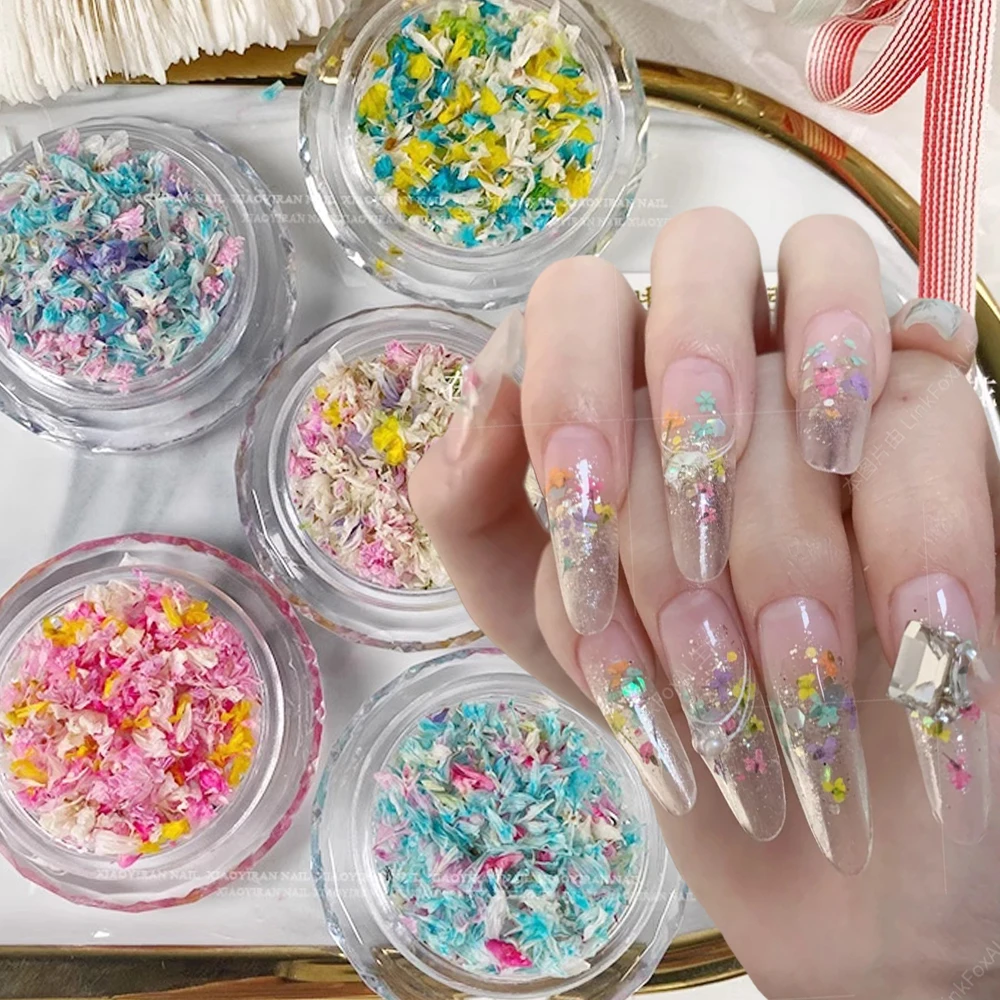 1Box Spring Summer 3D Dried Flowers Nail Art  Mixed-Color Petals Natural Floral Nail Charms Press On Nail Manicure Dried Flowers