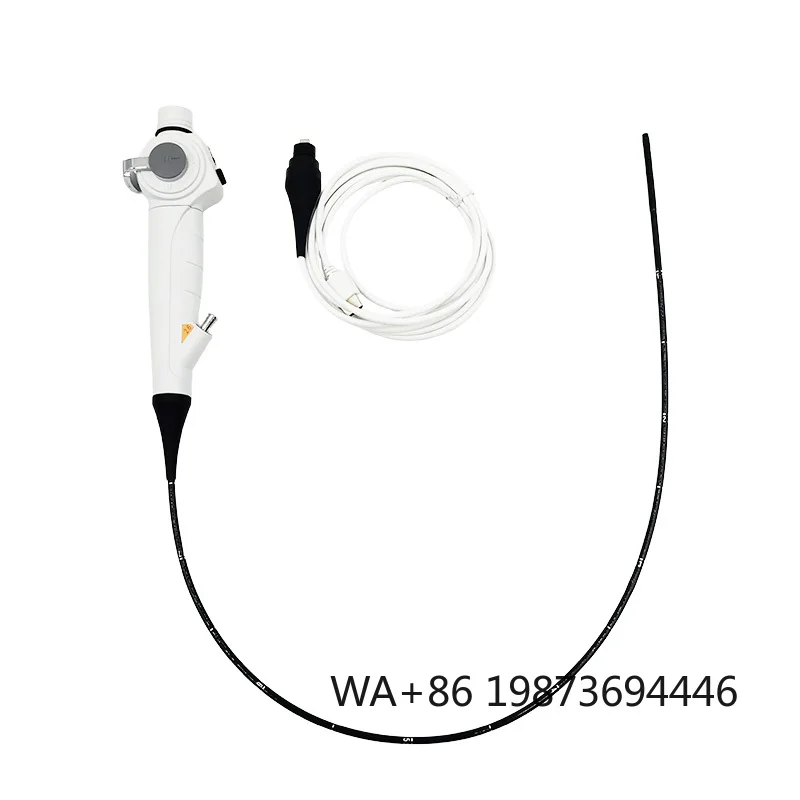 Reusable Digital Flexible Ureteroscope, Soft for Routine Urological Minimally Invasive Diagnosis and Examination