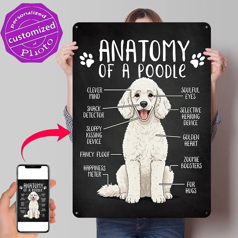 Funny Anatomy of a Poodle 3D Texture Printed Poster Custom Vintage Metal Tin Plate Sign for Wall Art Bedroom Decorations Room