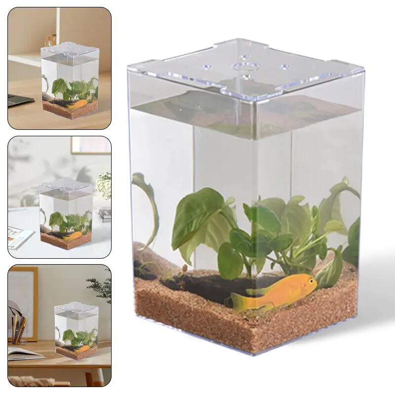 Petit aquarium carré transparent pour la décoration intérieure, récipient précieux pour poisson rouge, accessoire de bureau