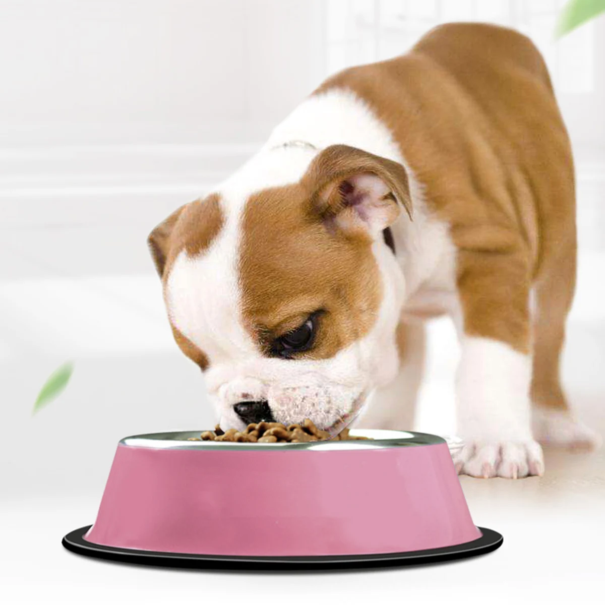 

Anti-slip Stainless Steel Cat Bowl Dog Bowls Pet Accessories Food Supplies Paint